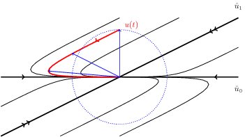 tg-dynamics